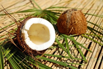 coconut-1501334_640